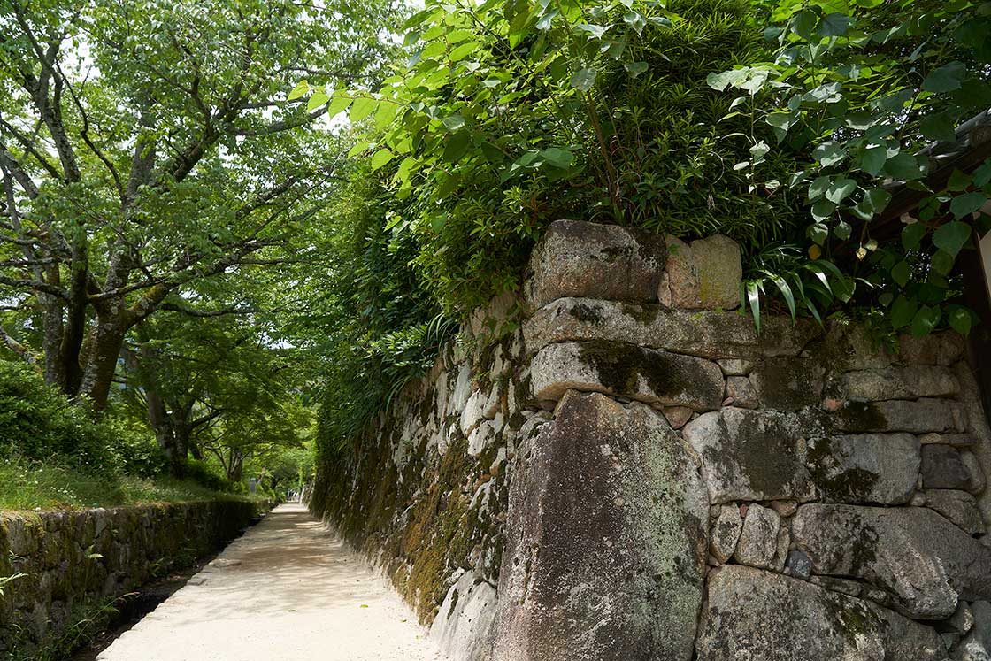 坂本の石積み